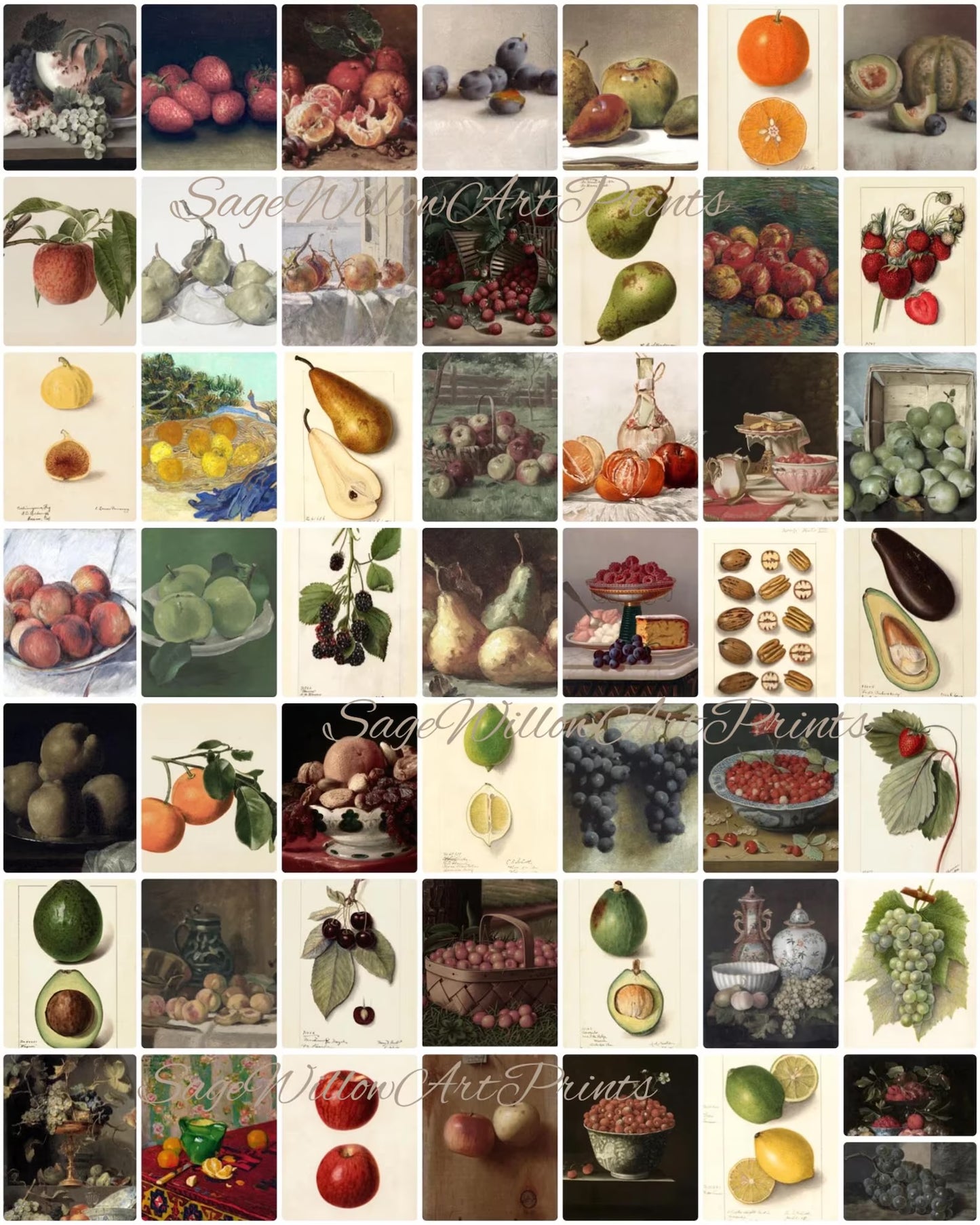 Set of 300 Vintage Fruit Prints for Kitchen Decor