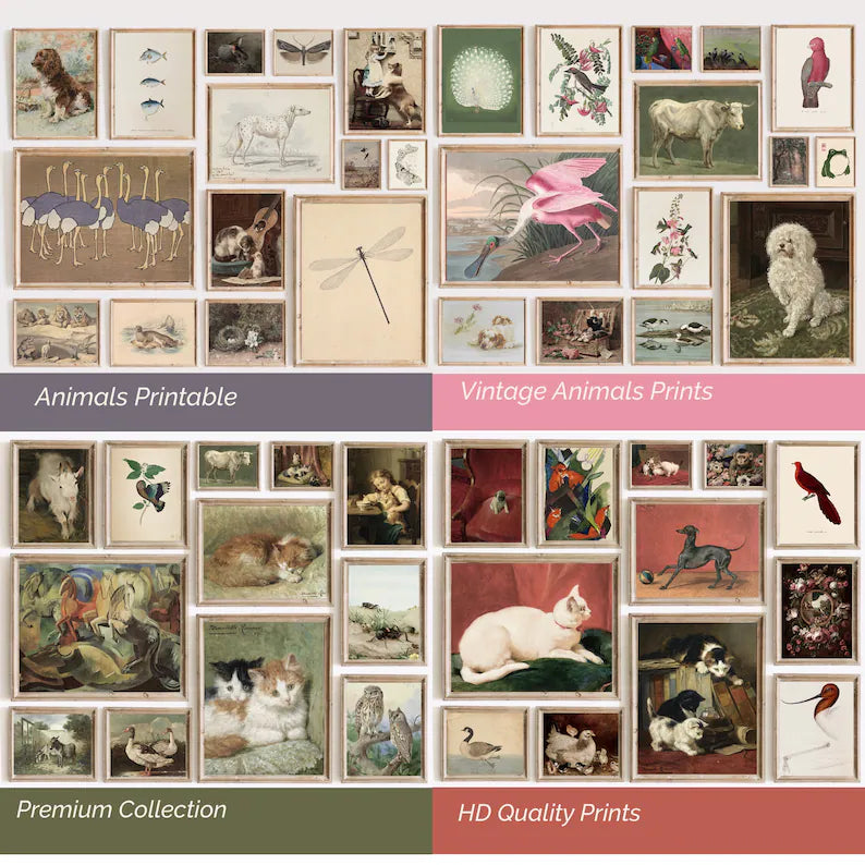 Set of 450 Vintage Animals Art Prints Set, Eclectic Farmhouse Decor