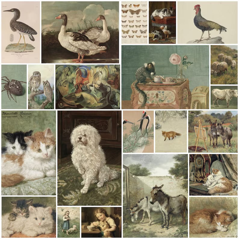 Set of 450 Vintage Animals Art Prints Set, Eclectic Farmhouse Decor