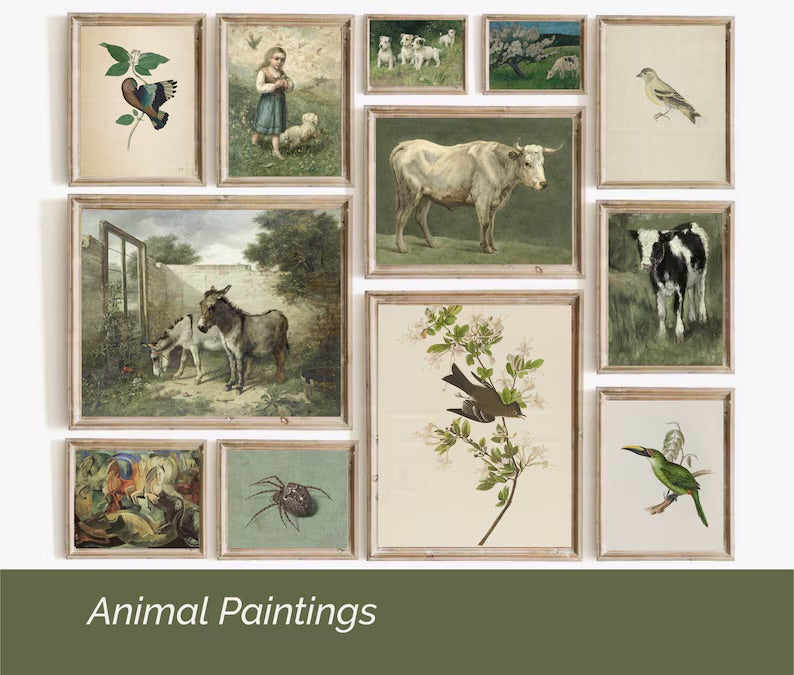 Set of 450 Vintage Animals Art Prints Set, Eclectic Farmhouse Decor