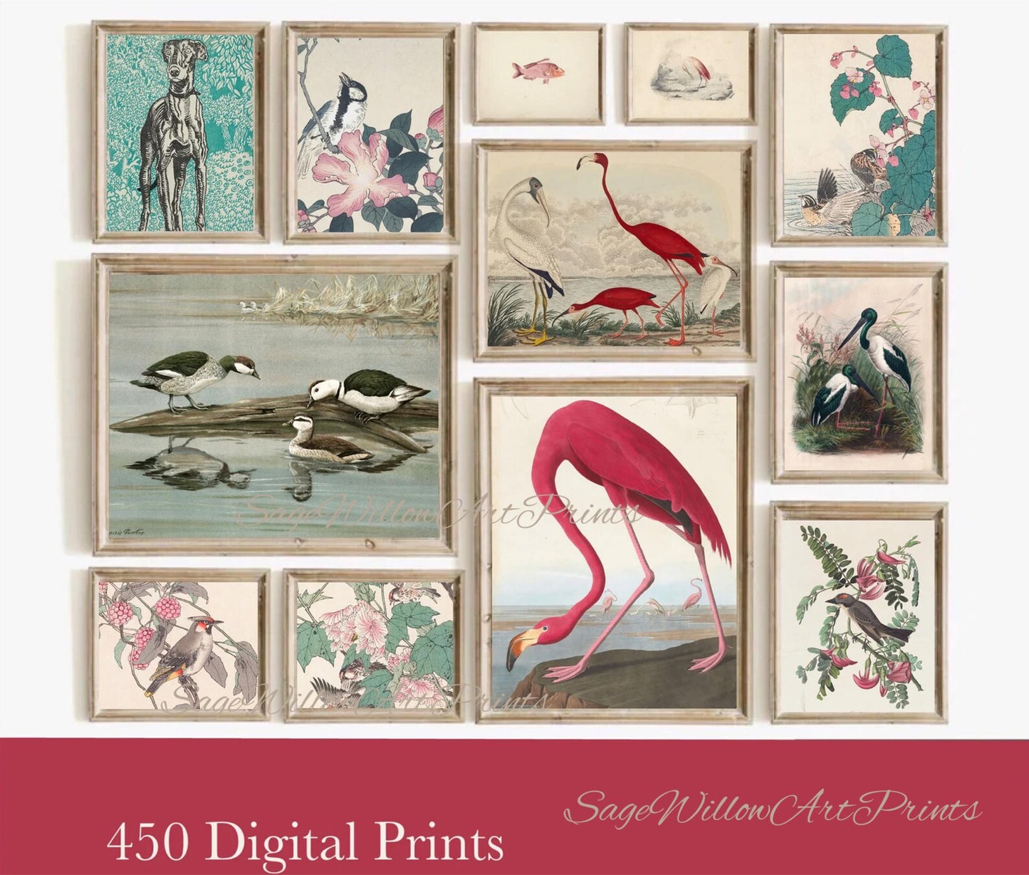 Animal Lovers Gift Set of 450 Downloadable Art